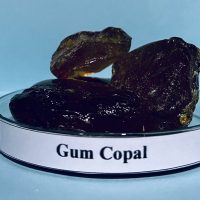 Gum Copal